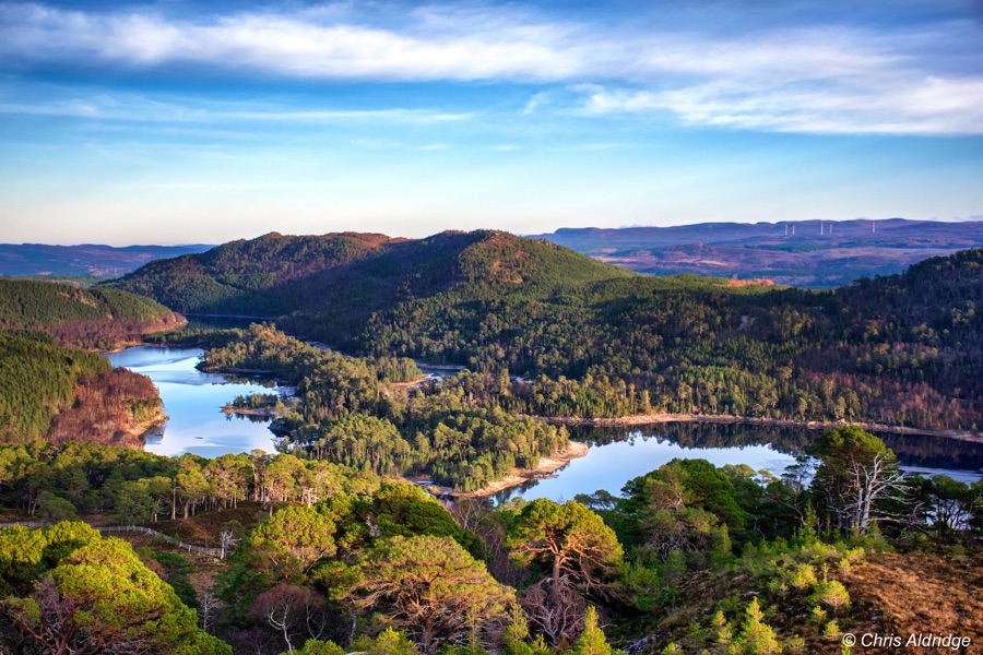 Glen Affric landscape